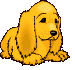 cane sdraia.gif